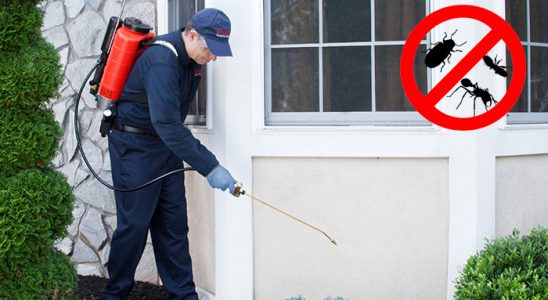 Karakoçan Dezenfeksiyon böcek ilaçlama ve haşere kontrolü — ilaclama-tr.com